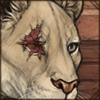 Event Scar: Eye Injury [Right]