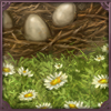 Spring Eggs